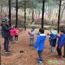 어울림숲어린이집 이미지