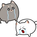 삼성동물종합병원 이미지