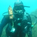 프렌드샾 이미지