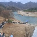 금성대군 티스토리