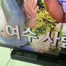 75 | LG QNED TV 75인치 내돈내산 구매후기