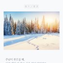 생명의 그물 2 이미지