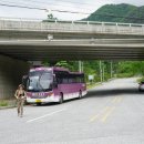 송단교