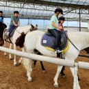 하점초교 이미지