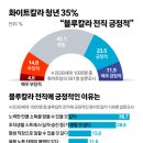 블루칼라