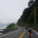 동읍625 | 본포 - 동읍 - 창원 주말 일요일 625 여름 아침 로드 자전거 라이딩 사진 후기with good riders...