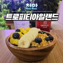 두정동 생과일전문 트로피티아일랜드 천안두정점 방문후기