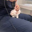 마레동물병원 이미지