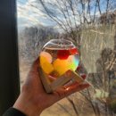 공주-65 | 남양주카페 공주같은 분위기 숲속카페 에이,플로르 내돈내산후기