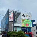 포항시립중앙아트홀 | [전시 후기] 현대미술로 바라본 여성인권 展 행진 2024 추천, 무료 관람 @포항 시립중앙아트홀