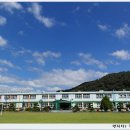 쌍백초등학교 이미지