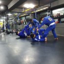 복싱 MMA 주짓수 마이티짐 이미지