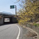 원촌교차로 이미지