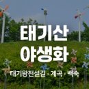 신대약수 이미지