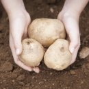 순흥초등학교 이미지