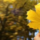 강남대로6길 44-2 이미지