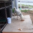 하남대로302번길 이미지