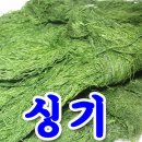 신기 이미지