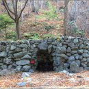 나리 신령수 이미지