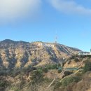 레이크케이크샵 | 미국 LA 여행 | Day 7. 레이크 할리우드 공원 할리우드 사인, 스투시 LA, 비버리힐즈 치즈케익팩토리