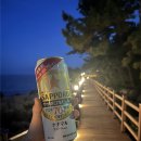 후리횟집 | 몰아쓰는 여름일상