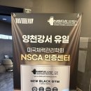 바디챌린짐 | 목동PT 잘하는 곳 뉴블랙짐 헬스PT 목동본점 목동역...잘하는 곳 (TEI 트레이너 피티 16.17회차 수업 후기)