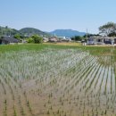 옥강보건진료소 이미지