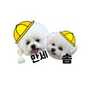 몽린이집 이미지