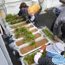 파리바게뜨 함안칠원점 이미지