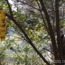 망치해수욕장 이미지