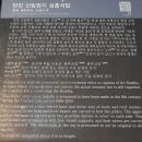 양양 선림원지홍각선사탑비 | 2026년 6월 16~17일 양양/강릉여행(11/24_선림원지(삼층석탑/승탑/석등/홍각선사탑비)) "Yangyang...