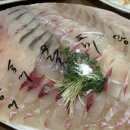 바다에서온거북이꼬따오