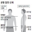 신체 이미지