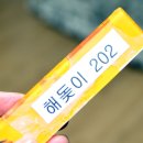 양지꽃펜션 이미지