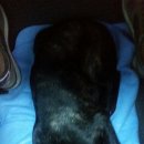 대풍슈퍼 이미지