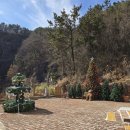 메리클리프 이미지