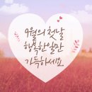 주말극OST 황가람목소리로9월 첫날 문을 열어갑니다~촉촉히 비오는소리 들으며음악도 들어보세요~9월도 라이프는 하나다 외치며 모두화이팅! 이미지