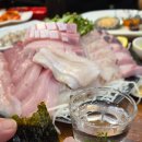고마스크린골프 네이버블로그
