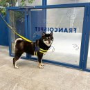 AK유치원 이미지