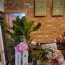 럭셔리 질러존 노래연습장 이미지