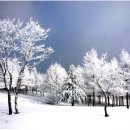 함백산 민박 이미지