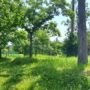 메타PC방 부산본점 이미지