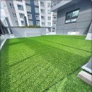 펫토피아 이미지