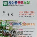 숫골농장 이미지