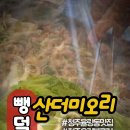 뺑덕산더미오리 이미지