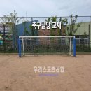 호수초등학교 | [우리스포츠산업]양주옥정호수초등학교_축구골망 WR2284-14 교체