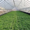 마을회관앞 이미지