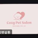 예뻐할게 펫 살롱 | (수원, 강아지, 고양이, 애견미용, 추천!) 코지펫살롱 수원 애견미용의 안식처
