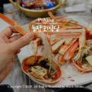 동남 | 포항 죽도시장 맛집 대게 가격 현지인 추천 동남회식당 후기