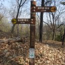 천주산 등산로 입구 이미지